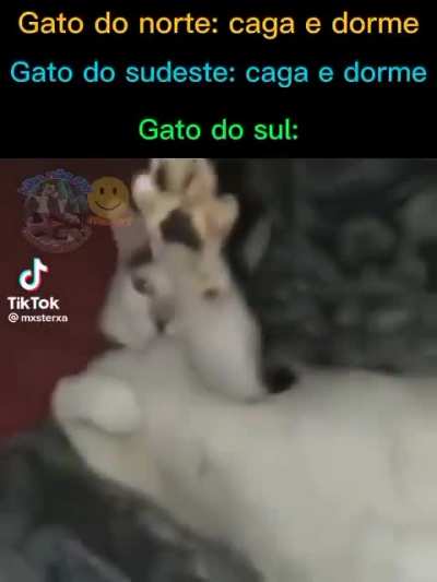 Exato