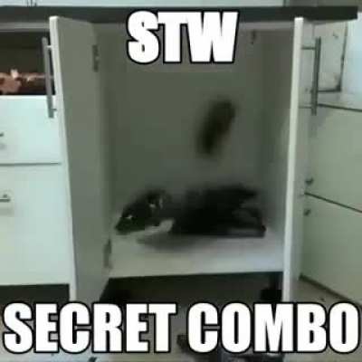 GUY POG ALERT NEW STW COMBO!!!!!!111