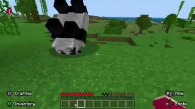 Suicidal panda
