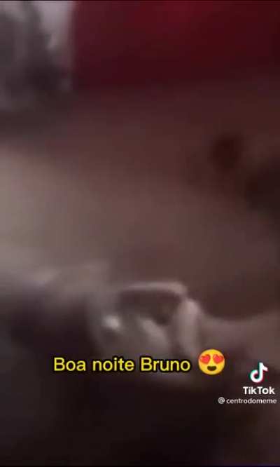 Boa noite Bruno
