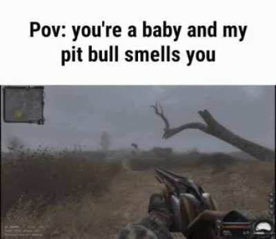 It doesn’t bite I swear