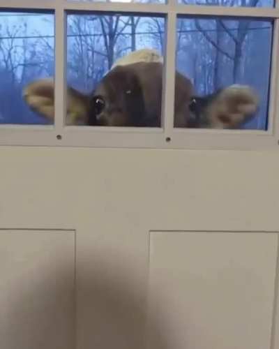 Mom said to be home before dark