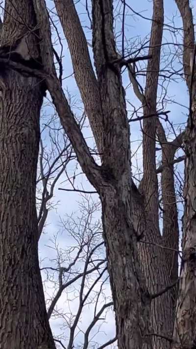 Yall ever get creepy vibes or like the course is out to get you some days 😂