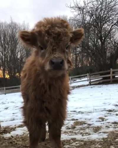 She´s so fluffy!
