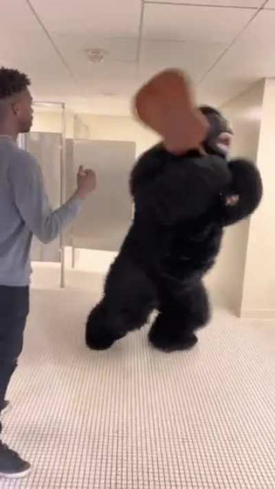 Just your average day in the boy's bathroom