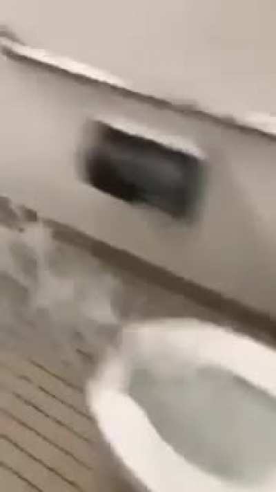 Toilet had too much to drink