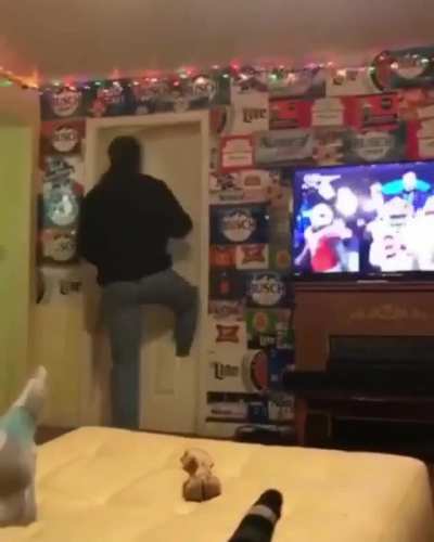 Sports fan