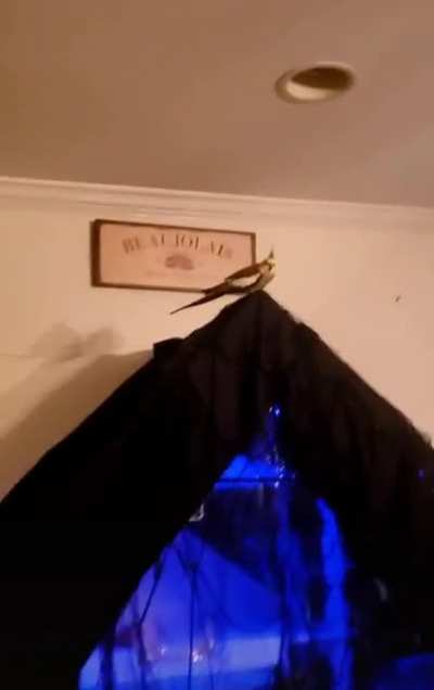 Hey!