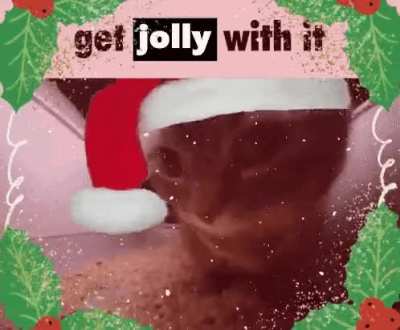 festive wunk