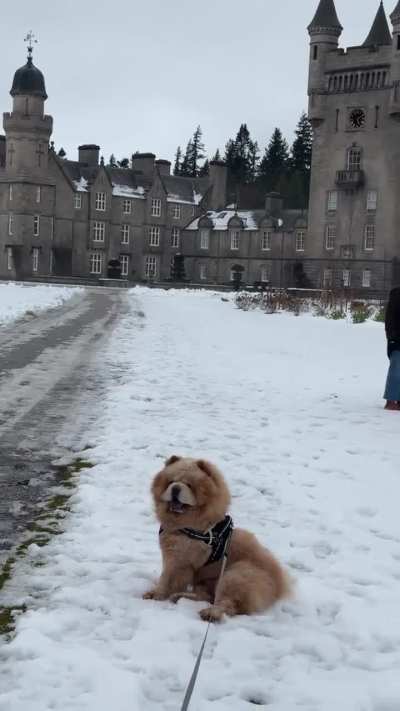 Mickey at Balmoral Castle