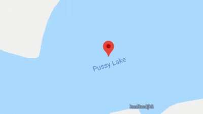Guy finds his dream destination