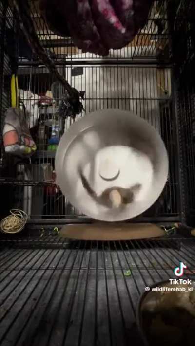 Maybe Maybe Maybe
