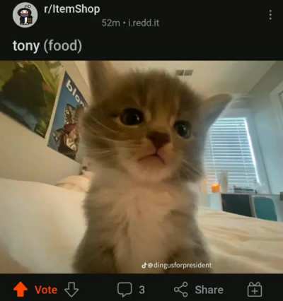 Oh no