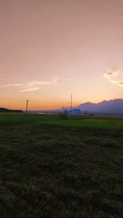 Somewhere in North Bengal