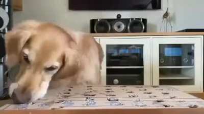 woof🥕irl