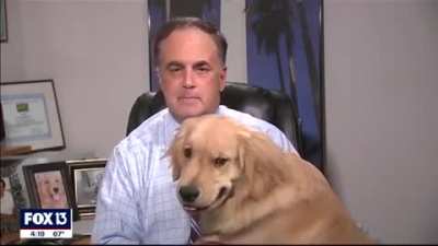 Weatherman struggles to work at home (look at his pictures!)