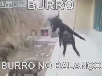 Essa imagem é proibida em 300 países