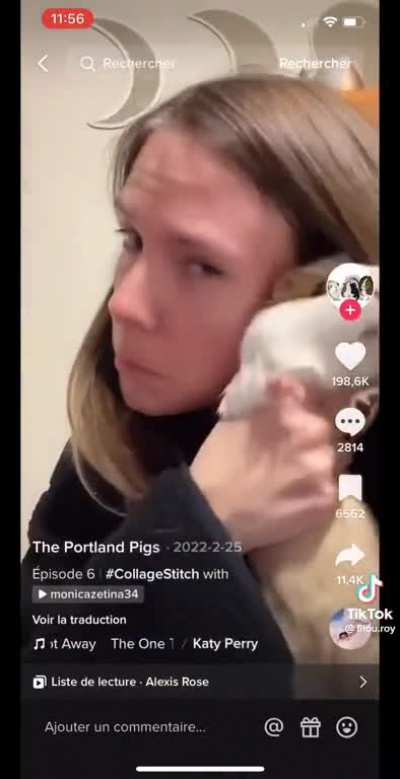 Does this belong here?