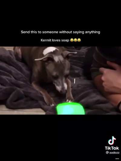 Chomp