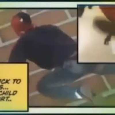 Not the hero we need but the hero that we deserve