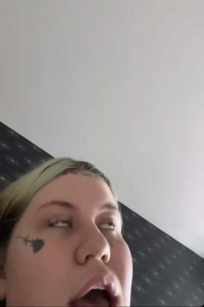 🧽🧽🧽