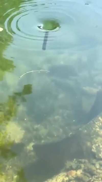 A small whirlpool