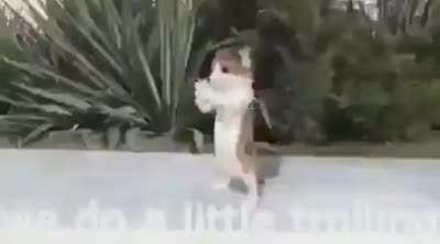kiraa