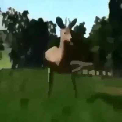 yo