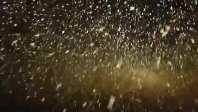 Snowfall in the ocean.
