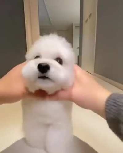 Woah Cuteness Is Overloaded 💕
