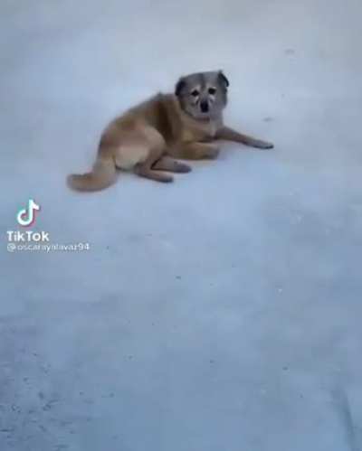 Полез<wbr>ное изобр<wbr>етени<wbr>е