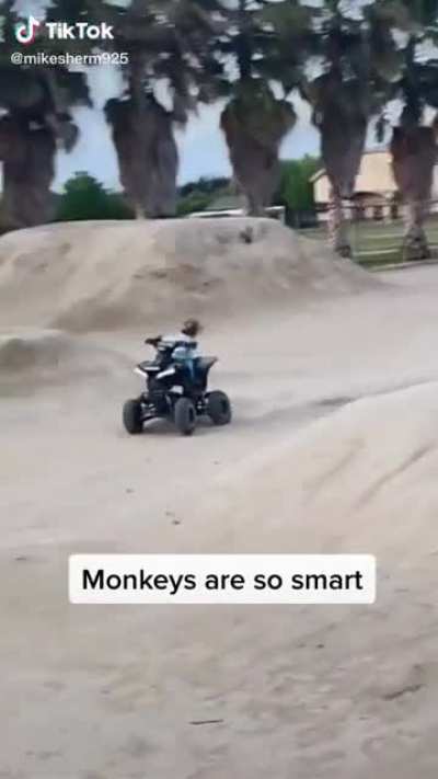 Fast & Curious