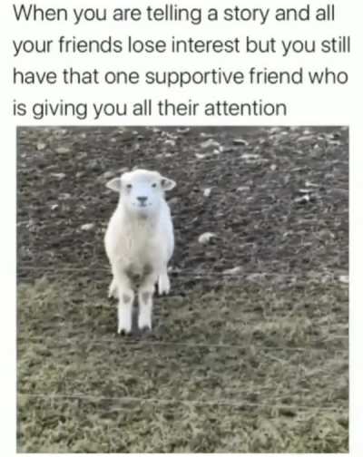 Always here for you :P