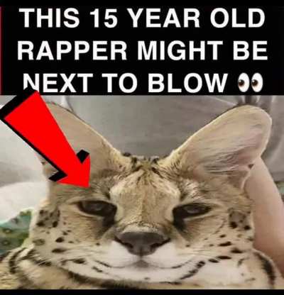 lil farty
