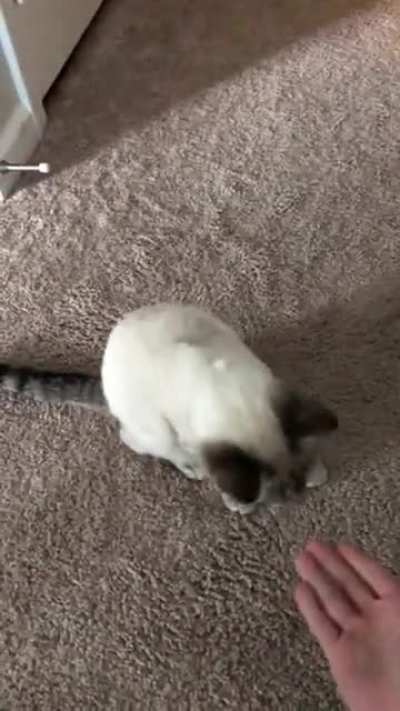 Such a smart Boi