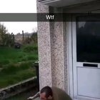 Драккарис, епта!