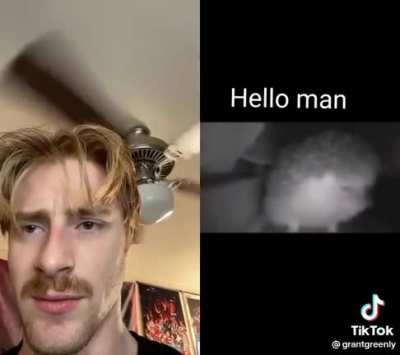 Heavy cringe
