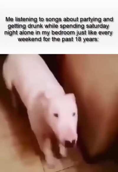 me🥳irl