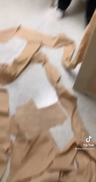 When TikTok memes go too far
