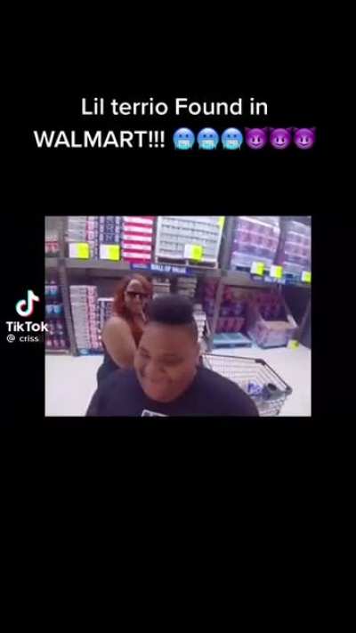 Lil terrio
