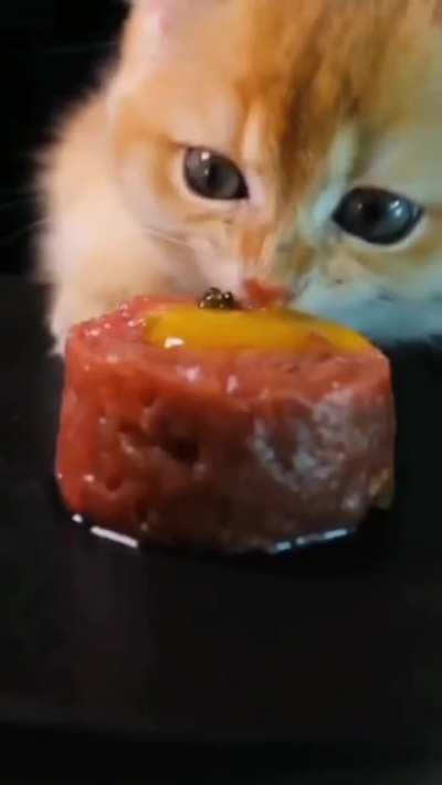 feed