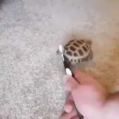 Scratch it harder