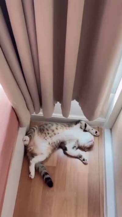 Mood for life