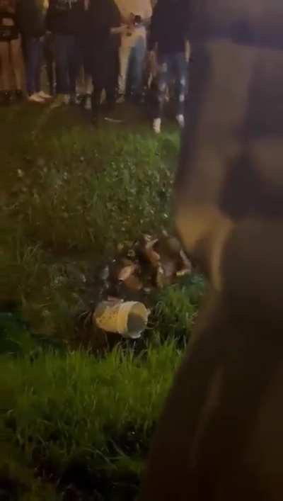 Riña de mujeres dentro de una zanja en la inmediación de un boliche de Ituzaingó
