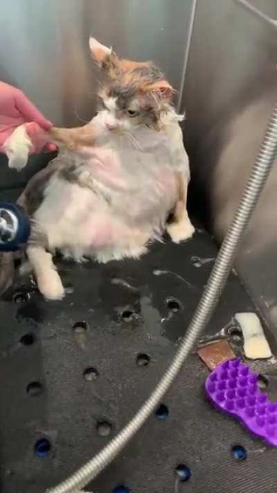 If looks could kill