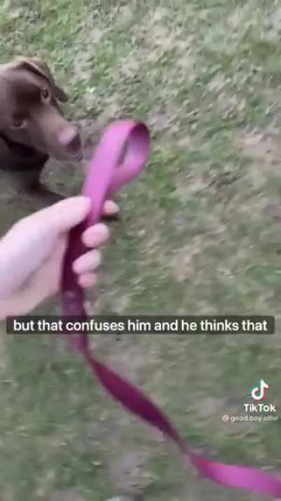 such a good boy.