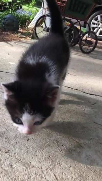 He’s so tiny! Reddit, meet Julius!