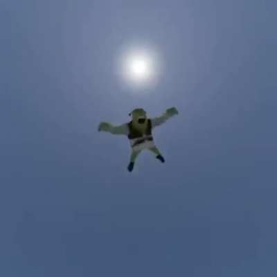 Shrekli bok post