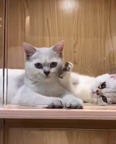 MINE.