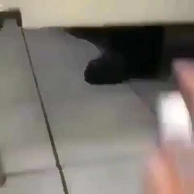 забав<wbr>ный прикол